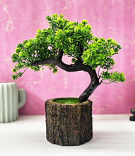 Load image into Gallery viewer, Wooden Potted Plants
