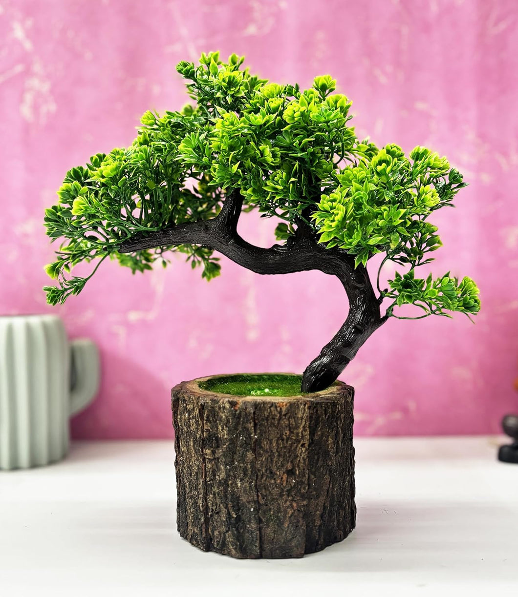 Wooden Potted Plants