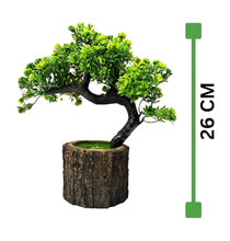 Load image into Gallery viewer, Wooden Potted Plants
